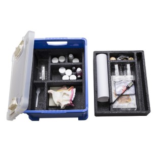 Kit Basic: il Tatto, l’Olfatto, il Gusto