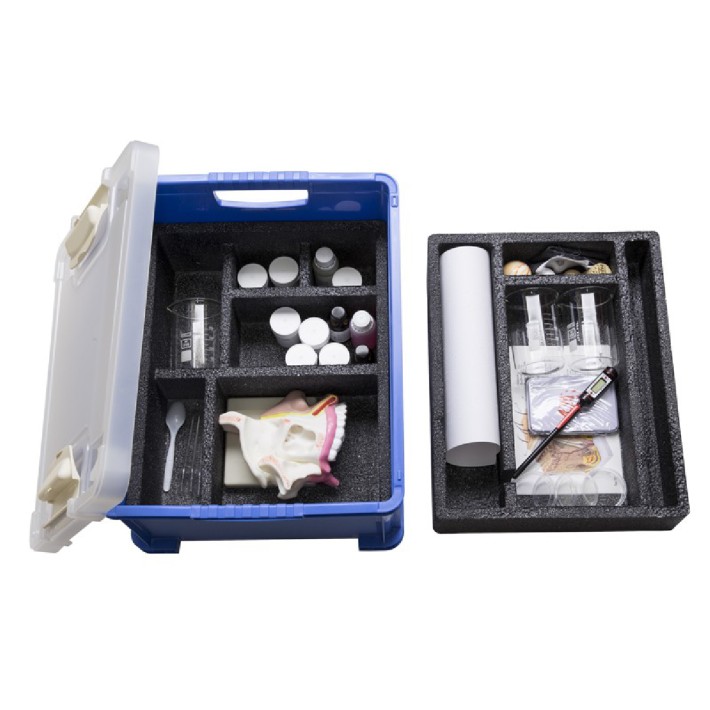 Kit Basic: il Tatto, l’Olfatto, il Gusto