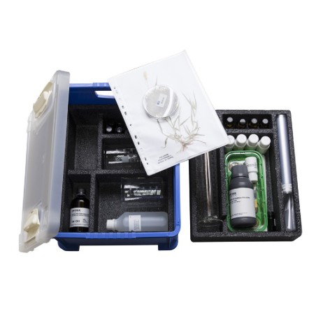 Kit Advanced: i Vegetali