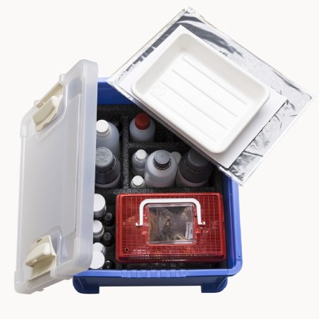 Kit Advanced: gli Animali e l’Uomo