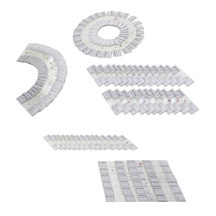 Insieme di 5 kit di vetrini