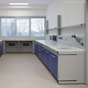 Laboratorio di Biologia 2