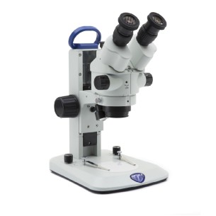 Stereomicroscopio binoculare