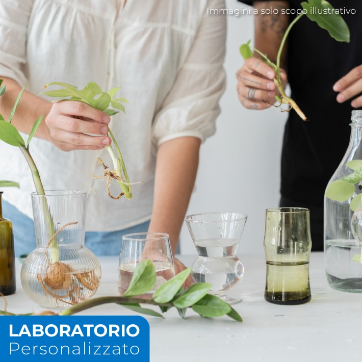 laboratorio personalizzato di ambiente e green...