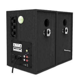 Coppia di casse preamplificate da 100W - ECO100PLUS - con... 2