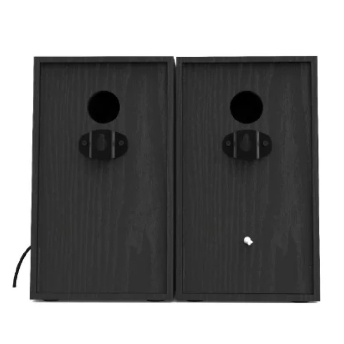 Coppia di casse preamplificate da 100W -...