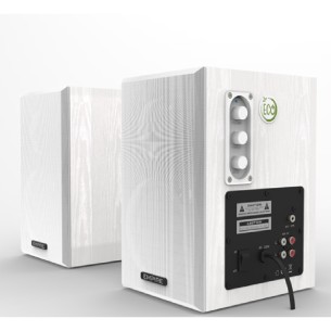 Coppia di casse preamplificate da 100W - ECO100PLUS - con...