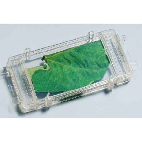 Kit Germinazione