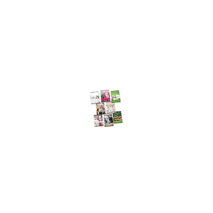 Pigna 8005235139114 quaderno per scrivere A4 42...