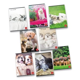 Pigna 8005235100435 quaderno per scrivere A4 42 fogli...