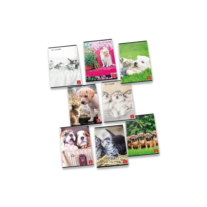 Pigna 8005235100435 quaderno per scrivere A4 42...