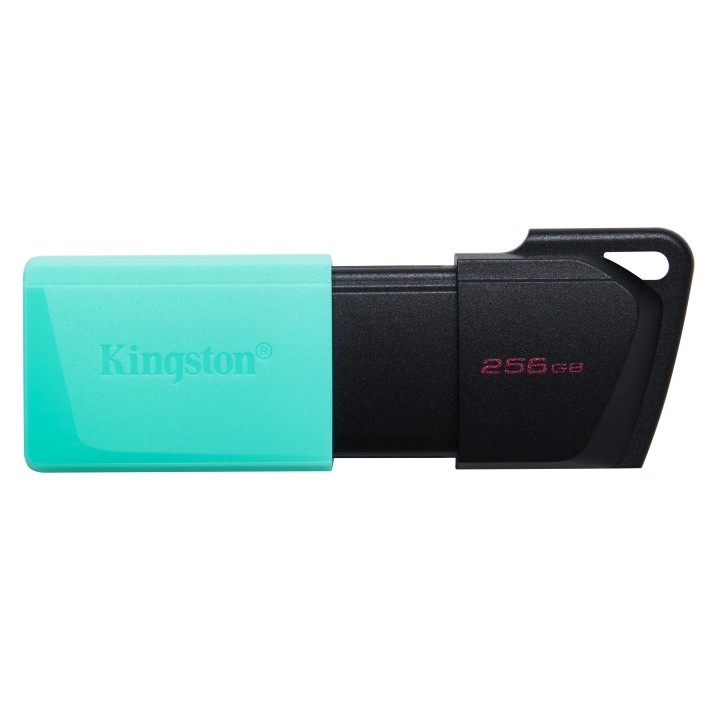 Kingston Technology DataTraveler 256GB USB3.2...