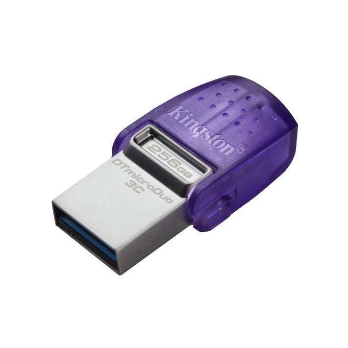 Kingston Technology DataTraveler 256GB microDuo...