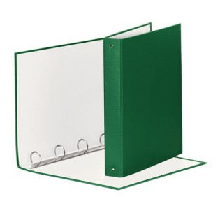 Esselte 395792600 raccoglitore ad anelli Verde