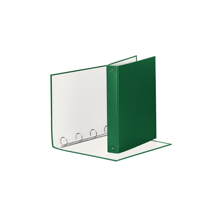 Esselte 395792600 raccoglitore ad anelli Verde