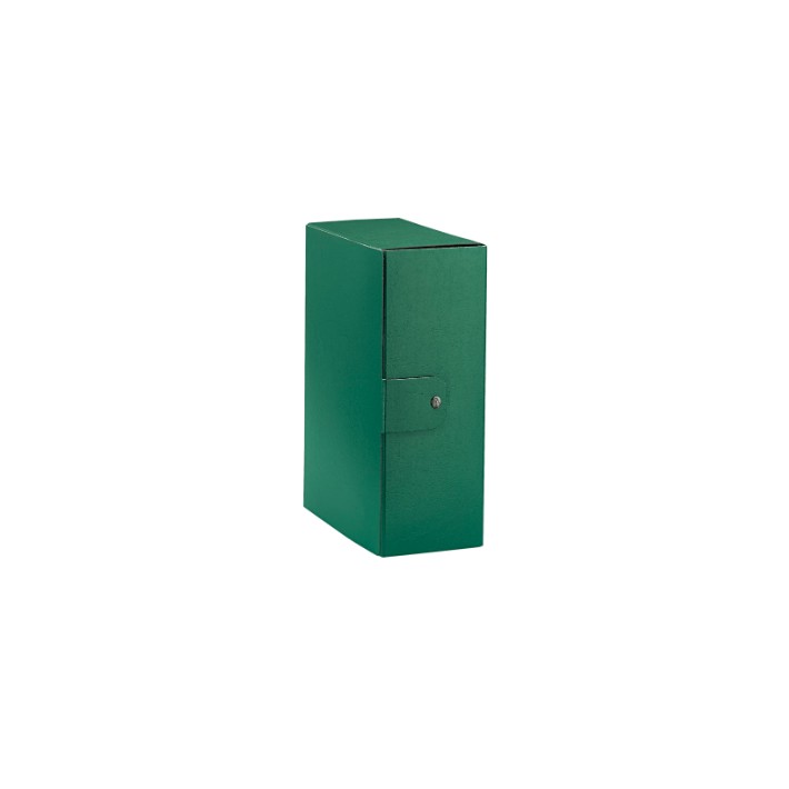Esselte C32 EUROBOX scatola per la...