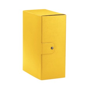 Esselte C35 EUROBOX scatola per la conservazione di...