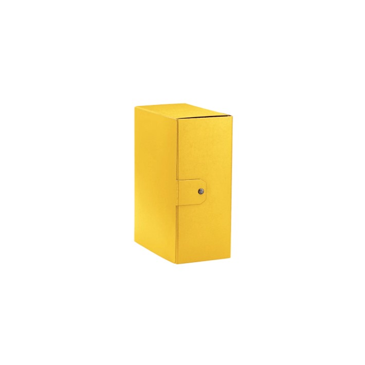 Esselte C35 EUROBOX scatola per la...