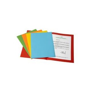 Fraschini 500-ASS cartella Multicolore A4