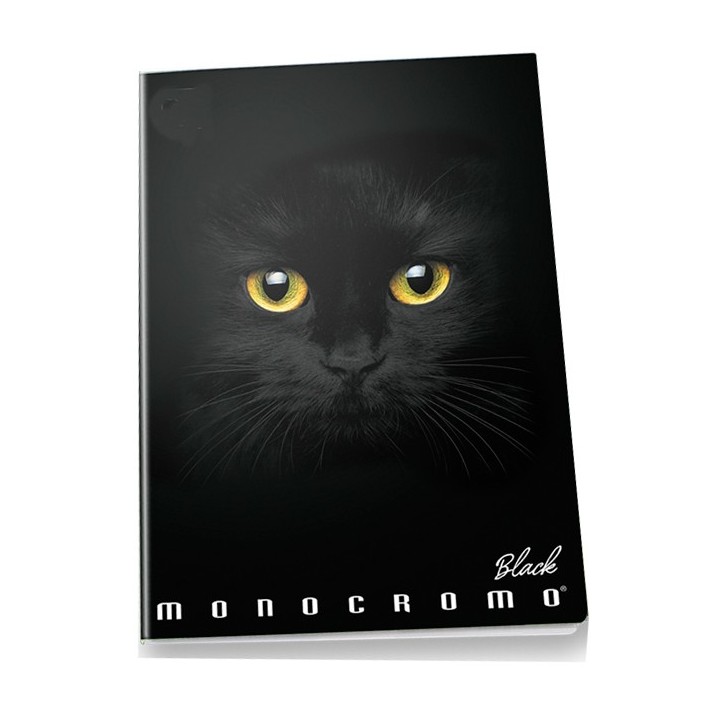 Pigna Monocromo quaderno per scrivere A4 19...