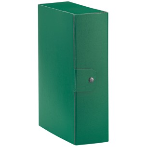 Esselte Eurobox raccoglitore Verde