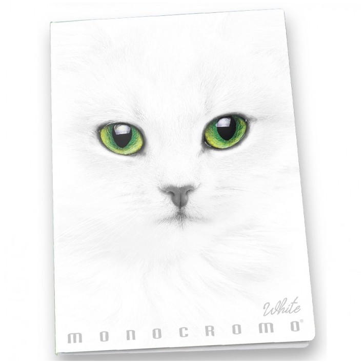 Pigna Monocromo quaderno per scrivere A4 19...