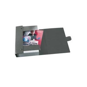 Esselte 390304040 scatola per la conservazione di...