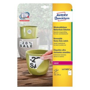 Avery L4775REV-20 etichetta autoadesiva Rettangolo...
