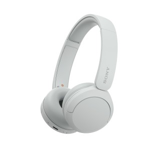Sony Cuffie Bluetooth wireless WH-CH520 - Durata della...