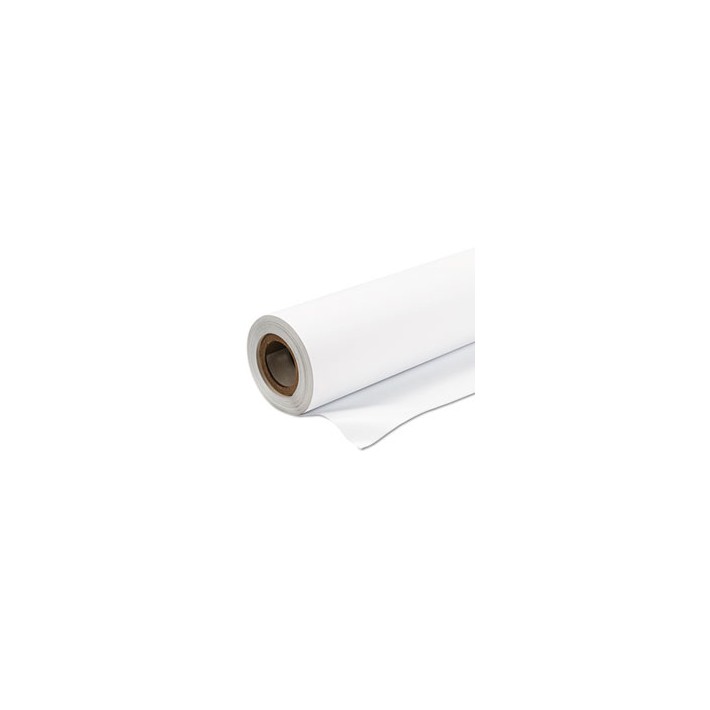 Epson Production Canvas Matte, in rotoli da...