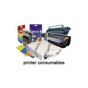 Epson UltraSmooth Fine Art Paper(250), in rotoli da 60,...