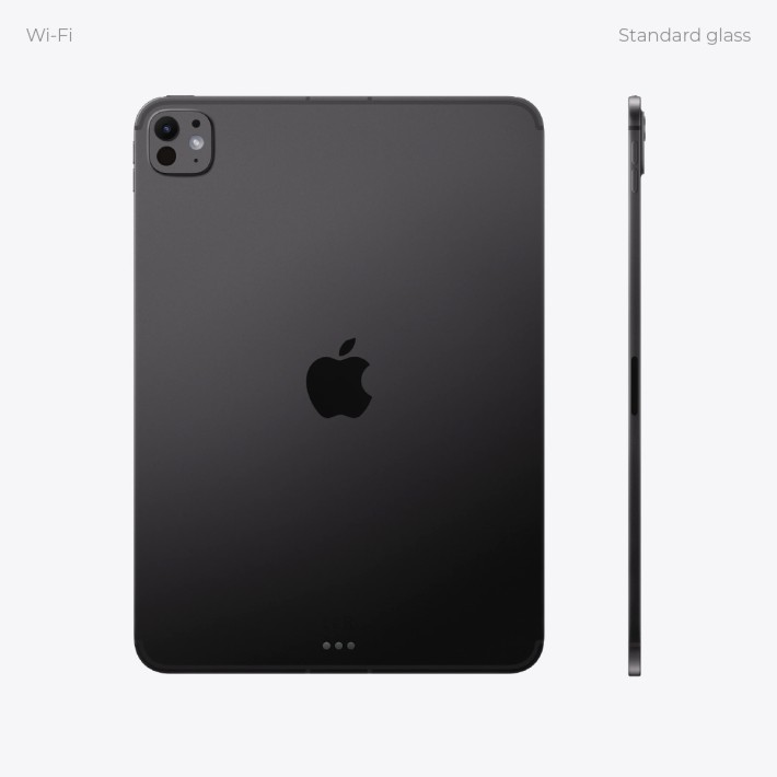 Tablet - Apple iPad Pro - 13"- Standard glass -...