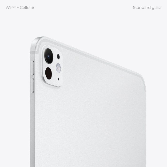 Tablet - Apple iPad Pro - 11"- standard glass -...
