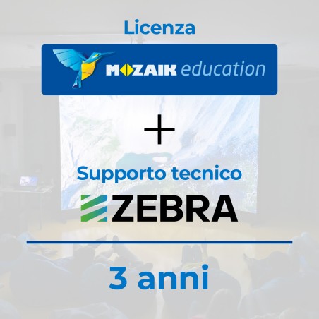 Arena Cinema Immersiva Curva - Licenze 3 ANNI e MediaServer PRO - Installazione Standard...