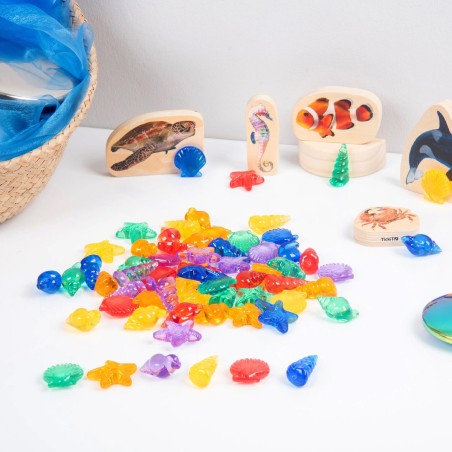 Conchiglie Colorate Traslucide - Confezione da 72 Pezzi