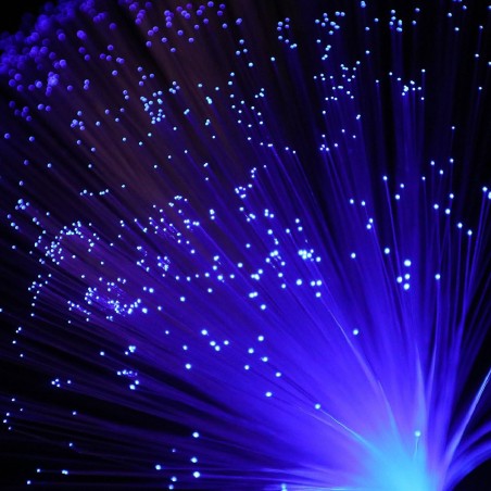 Strumento Sensoriale - Lampada LED ad Albero in Fibra Ottica