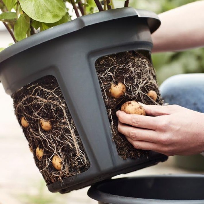 Vaso Estraibile per Patate e Bulbi
