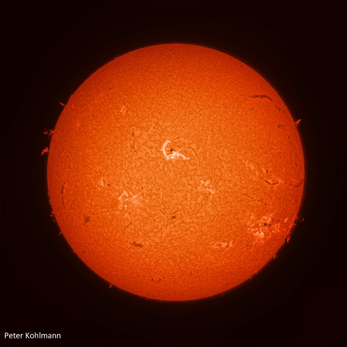 Telescopio Acuter Elite Phoenix 40mm +...