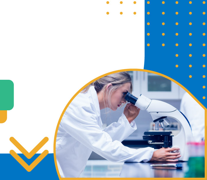 Laboratorio educativo con microscopia, rappresentazione del bando PNRR per scuole 4.0